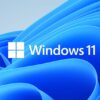 HEARS for Windows OS